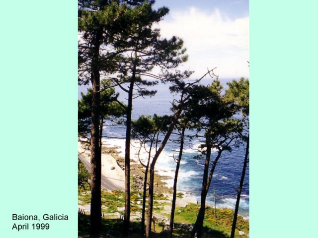 BAIONA
