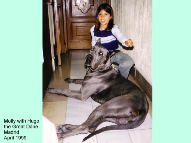 MOLLY WITH GREAT DANE