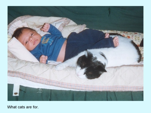 ALEX & CAT