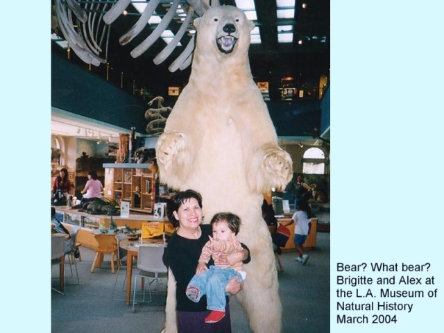 BEAR? WHAT BEAR?