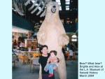 BEAR? WHAT BEAR?