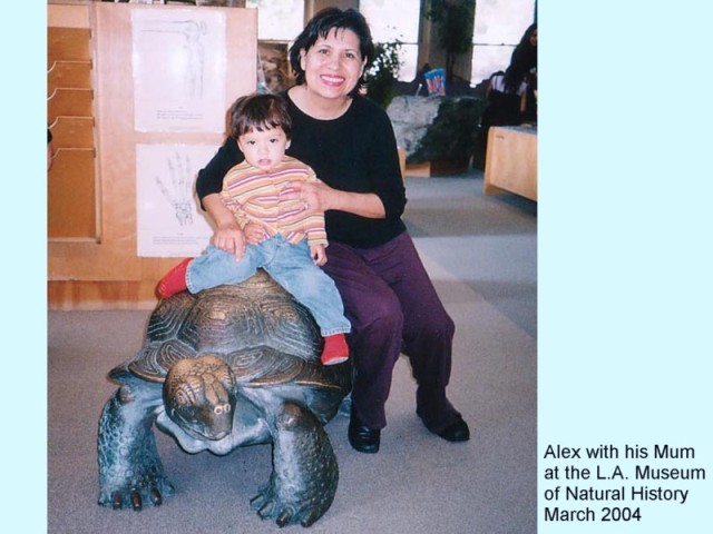 AT THE NATURAL HISTORY MUSEUM