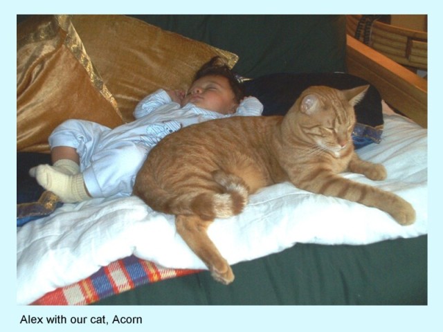 ALEX WITH ACORN