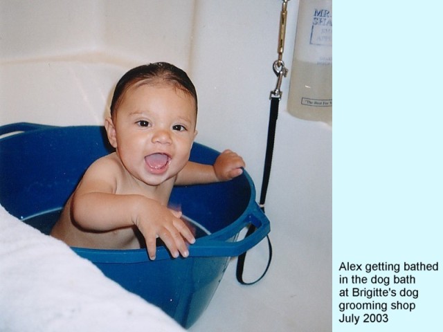 IN THE DOG BATH