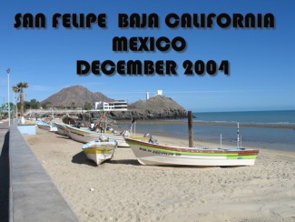 Highlight for Album: MEXICO 2004-05