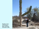 BRIGITTE & ALEX IN THE DESERT