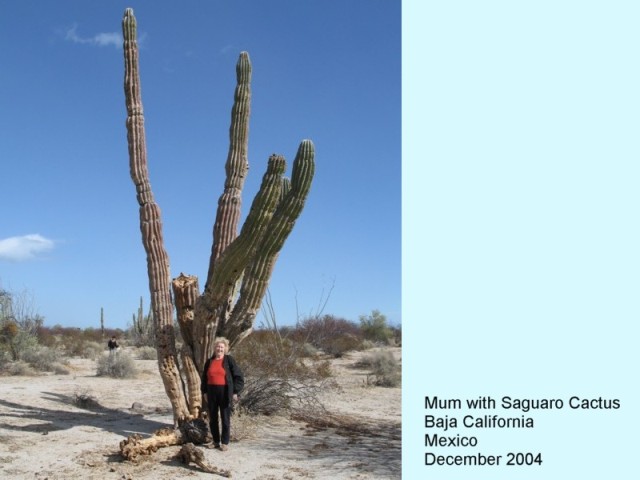 MUM IN THE DESERT
