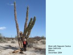 MUM IN THE DESERT