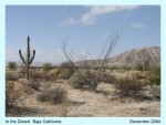 THE DESERT