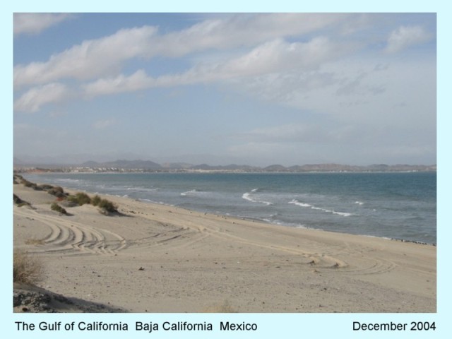 GULF OF CALIFORNIA