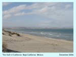 GULF OF CALIFORNIA