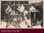 THE WILD VIOLETS