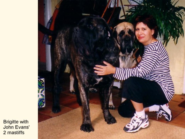 WITH JOHN'S DOGS