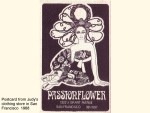 PASSION FLOWER POSTCARD