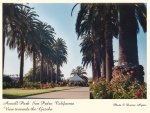 THE LOCATION
