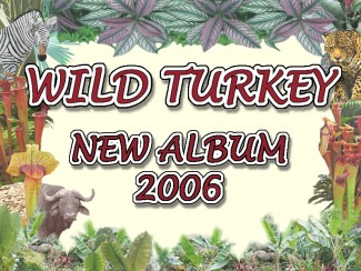 Highlight for Album: THE LATEST WILD TURKEY ALBUM ON RELEASE OCTOBER 2006