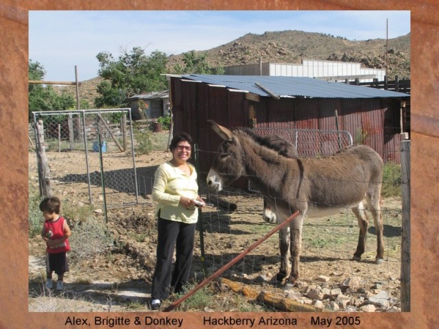 ALEX, BRIGITTE & DONKEY