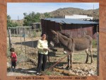 ALEX, BRIGITTE & DONKEY