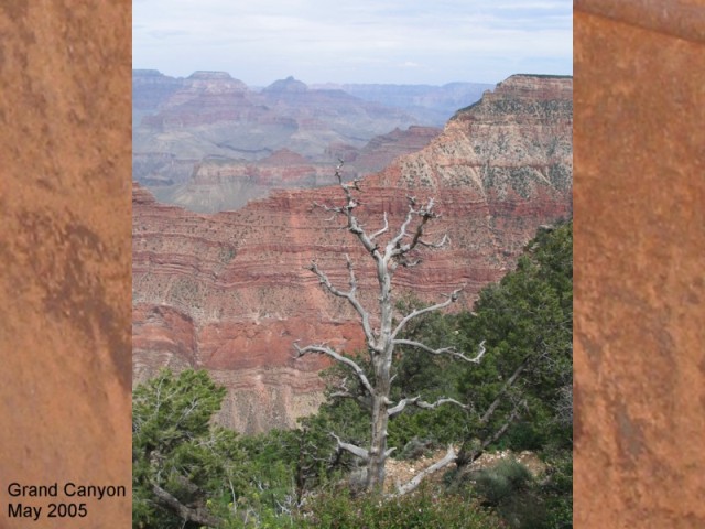 THE GRAND CANYON
