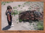 ALEX AT THE PETRIFIED FOREST