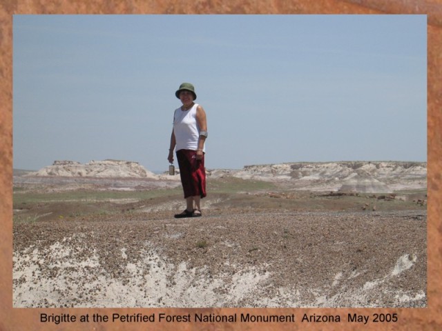 BRIGITTE AT THE PETRIFIED FOREST