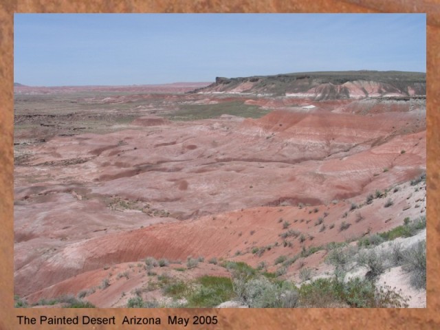 THE PAINTED DESERT