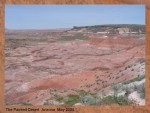 THE PAINTED DESERT