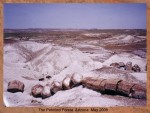 PETRIFIED FOREST