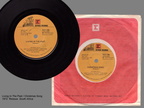 SOUTH AFRICAN LIVING IN THE PAST REISSUE 45