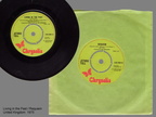 BRITISH LIVING IN THE PAST / REQUIEM 45