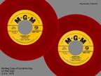 U.S. SUNSHINE DAY BOOTLEG 45