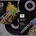 BRITISH LIVING IN THE PAST / HARDLINER 45