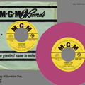 U.S. SUNSHINE DAY BOOTLEG 45
