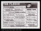 THE FLEECE FLYER