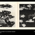 Pages 3 & 4